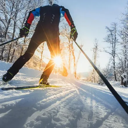 Prázdninový dům Im Maettelti Goms